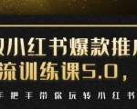 小红书爆款推广引流训练课5.0,手把手带你玩转小红书(17节实操视频+话术)-如意资源库