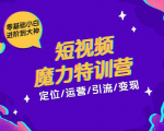 零基础小白进阶到大神《短视频魔力特训营》定位-运营-引流-变现-如意资源库