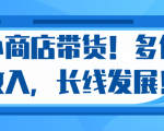 微信小商店带货，爆单多倍收入，长期复利循环！日赚300-800元不等-如意资源库