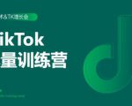 2020最新TikTok流量增长训练营(完结)附PPT-如意资源库