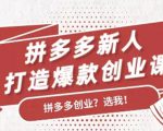 拼多多新人打造爆款创业课:快速引流持续出单,适用于所有新人-如意资源库