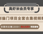 暴利偏门项目全套合集视频教程：你要的日赚1000+月入几万+项目都有-如意资源库