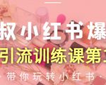 狼叔小红书爆款推广引流训练课第12期,手把手带你玩转小红书-如意资源库
