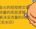 只说话就会火的短视频文案课，从根本上解决没流量的问题-如意资源库