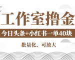 工作室撸金二件套:撸今日头条原创收益+小红书一单利润40块项目-如意资源库