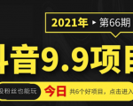 抖音9.9课程项目，没粉丝也能卖课，一天300+粉易变现-如意资源库