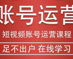 短视频账号运营课程:从话术到短视频运营再到直播带货全流程,新人快速入门-如意资源库