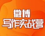 村西边老王·微博超级写作实战营,帮助你粉丝猛涨价值999元-如意资源库