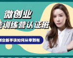 微创业全能训练营认证班课程，从理论知识与实际案例手把手指导创业新手如何从零到有-如意资源库