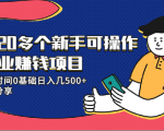 20多个新手可操作的副业赚钱项目：业余时间0基础日入几500+实操分享-如意资源库