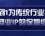 从0到1为传统行业打造抖音商业IP简单高效的保姆级攻略-如意资源库