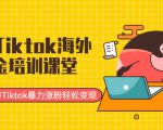 最新Tiktok海外掘金培训课堂:带你玩转Tiktok暴力涨粉轻松变现-如意资源库
