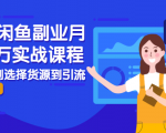 2021闲鱼副业月入过万实战课程:从开店到选择货源到引流,全程实战教学-如意资源库