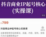 抖音商业IP起号核心实操课，带你玩转算法，流量，内容，架构，变现-如意资源库