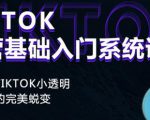 Tiktok实操进阶课程,体验从tiktok小透明到大佬的完美蜕变-如意资源库