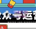 零零已久·从0-1运营公众号,零基础小白也能上手,系统性了解公众号运营-如意资源库