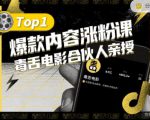 【毒舌电影合伙人亲授】抖音爆款内容涨粉课，5000万抖音大号首次披露涨粉机密-如意资源库