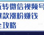 玩转微信视频号爆款涨粉赚钱全攻略,让你快速抓住流量风口,收获红利财富-如意资源库