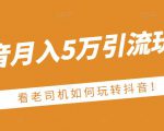 老古董·抖音月入5万引流玩法,看看老司机如何玩转抖音(附赠:抖音另类引流思路)-如意资源库