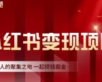 渣圈学苑·小红书虚拟资源变现项目,一起捞钱掘金价值1099元-如意资源库