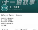 十一说故事·故事性中视频，观众快速共鸣从而快速变现的中视频玩法-如意资源库