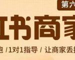 贾真-小红书商家营第6期商家版,21天带货陪跑课,让商家丢掉付流量-如意资源库