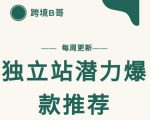 【跨境B哥】独立站潜力爆款选品推荐，测款出单率高达百分之80-如意资源库