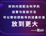 张sir账号流量增长课,告别海王流量,让你的流量更精准-如意资源库