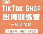 疯人院:TikTok Shop出海训练营(一店卖全球),出海抢占全球新流量-如意资源库
