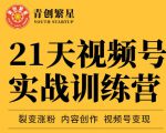 张萌21天视频号实战训练营，裂变涨粉、内容创作、视频号变现 价值298元-如意资源库
