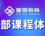 星雪教育淘系高级班,更全的运营提升方案,零基础由浅入深,店铺最新玩法-如意资源库