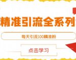 闲鱼精准引流全系列课程,每天引流100精准粉【视频课程】-如意资源库