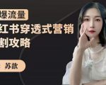 苏歆：小红书穿透式营销收割攻略，引爆流量，助你玩转小红书-如意资源库