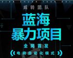 引流哥蓝海暴力躺赚项目：无需发圈无需引流无需售后，每单赚50-500（教程+线报群)-如意资源库