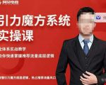 阿呆-引力魔方系统实操课,全体系实战教学,助你快速掌握推荐流量底层逻辑-如意资源库