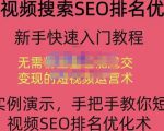 宋老师·短视频搜索SEO优化,教你10分钟创作一个短视频,三天排名上第一-如意资源库