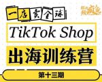 TikTokShop出海训练营（第十三期），打开全球流量新思维，出海抢占全球新流量，一店卖全球-如意资源库