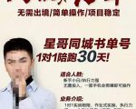 星哥同城教育书单号课程,无需出境简单操作项目稳定-如意资源库