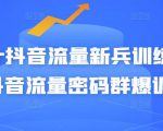 Peter抖音流量新兵训练营-破解抖音流量密码群爆训练营(新兵)-如意资源库
