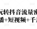 2022玩转抖音流量密码，(直播+短视频+千川)-如意资源库