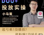 小马哥-Dou+投放实操课,抖加投放,随心推,付费起号逻辑,打破低播放转化-如意资源库