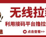 最新接码无限拉新项目,利用接码平台赚拉新平台差价,轻松日赚500+-如意资源库