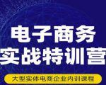民赛电气内部出品：电子商务实战特训营，全方位带你入门电商，308种方式玩转电商-如意资源库