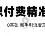 玩转知识付费项目精准引流,给你1套课多账号操作落地方案!-如意资源库