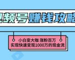 玩转微信视频号赚钱：小白变大咖涨粉百万实现快速变现1000万的现金流-如意资源库