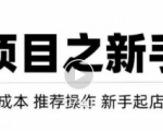 虚拟项目快速起店模式,0成本打造月入几万虚拟店铺!-如意资源库