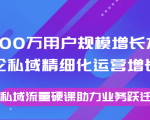 8000万用户规模增长方法论私域精细化运营增长,私域流量硬课助力业务跃迁-如意资源库