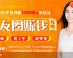 全网千万人气导师亲授:零基础/易上手的朋友圈赚钱攻略,让你轻松月入过万-如意资源库