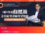 0粉0作品自然流正价起号及稳号全教程,专业自然流起号机构流程化教学(价值2980元)-如意资源库