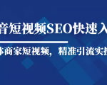 抖音短视频Seo搜索排名优化新手快速入门教程，实体商家短视频，精准引流实操课-如意资源库